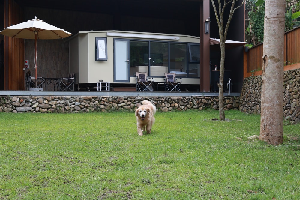 日月潭最Chill的寵物友善住宿｜陌野露營車驛站、寵物友善露營車、免搭帳豪華露營、南投寵物友善住宿