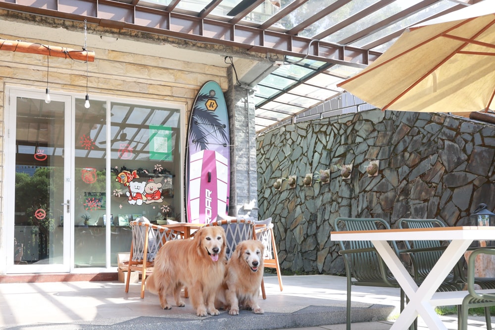 日月潭最Chill的寵物友善住宿｜陌野露營車驛站、寵物友善露營車、免搭帳豪華露營、南投寵物友善住宿