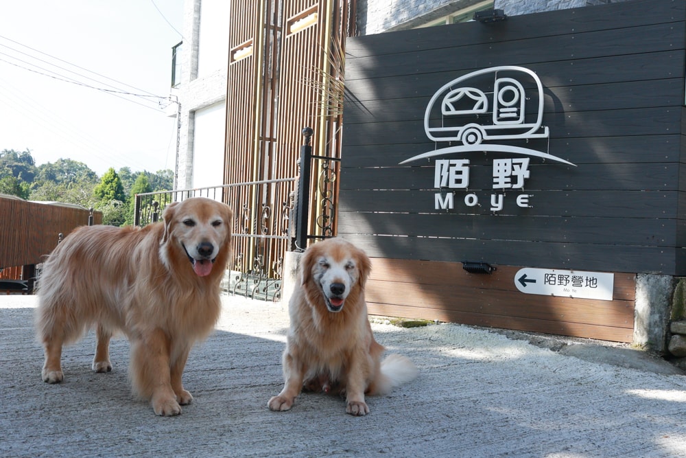 日月潭最Chill的寵物友善住宿｜陌野露營車驛站、寵物友善露營車、免搭帳豪華露營、南投寵物友善住宿