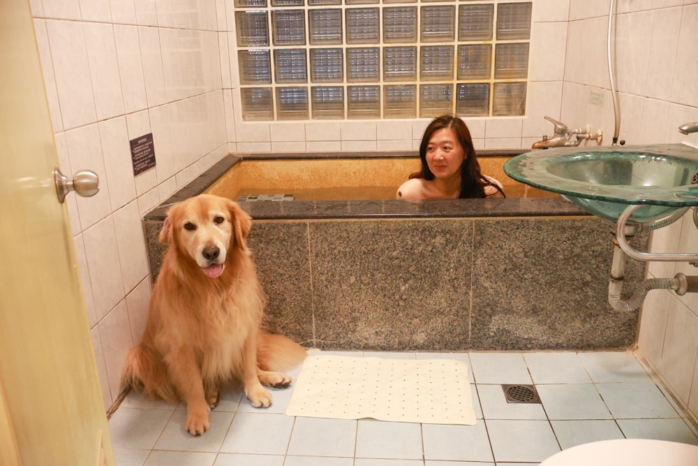 宜蘭礁溪住宿｜礁溪青池人文温泉旅店。宜蘭寵物友善飯店、大湯池、大床鋪，還能攜帶寵物入住！