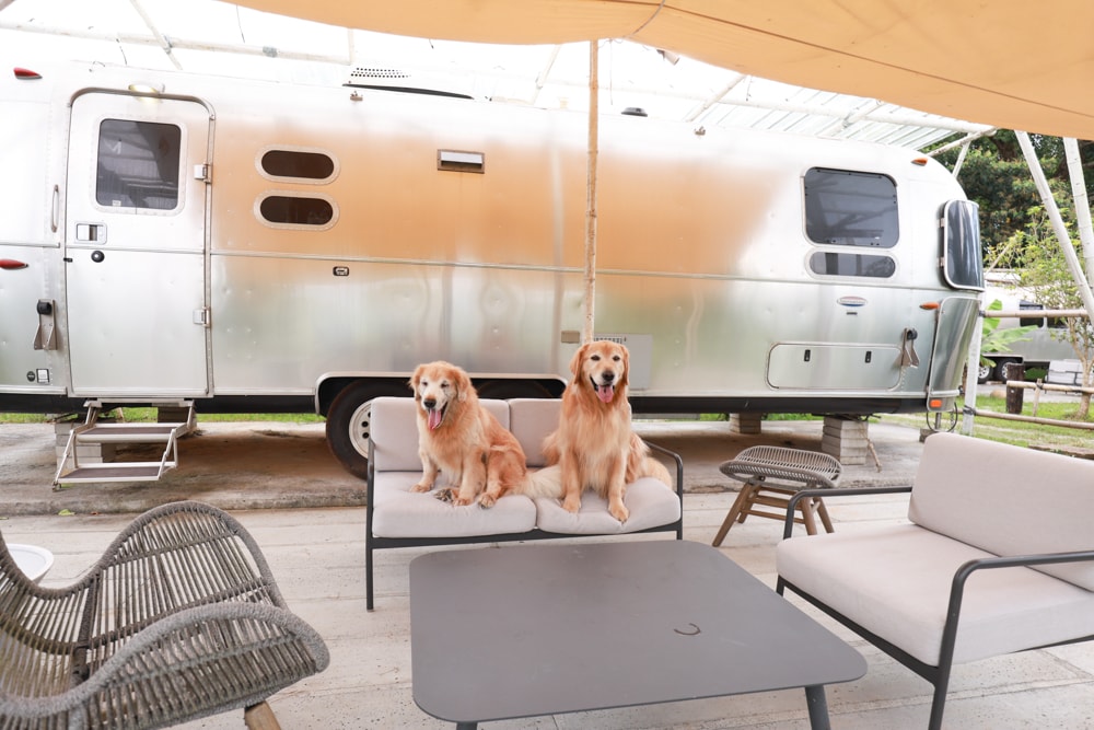 苗栗卓蘭住宿｜小巷清風 Le.Alley Autocamp Resort。苗栗 GlampingAirstream豪華露營車、一泊二食、寵物友善、鯉魚潭湖畔旁