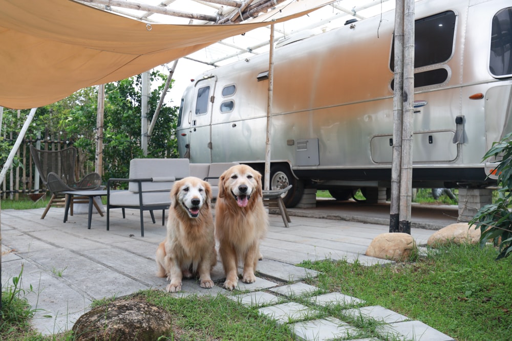 苗栗卓蘭住宿｜小巷清風 Le.Alley Autocamp Resort。苗栗 GlampingAirstream豪華露營車、一泊二食、寵物友善、鯉魚潭湖畔旁