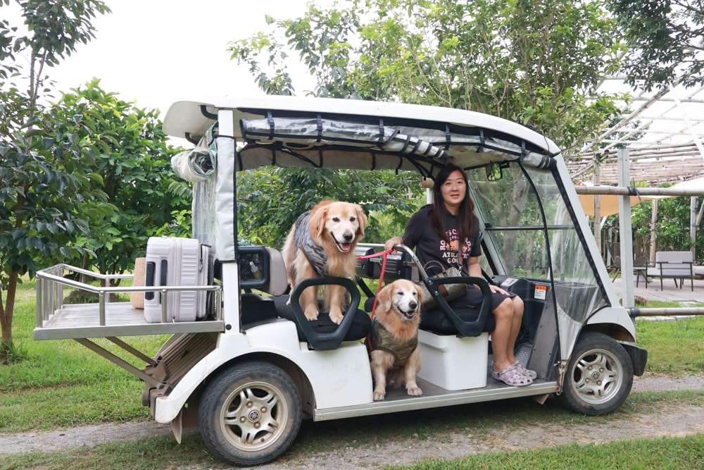 苗栗卓蘭住宿｜小巷清風 Le.Alley Autocamp Resort。苗栗 GlampingAirstream豪華露營車、一泊二食、寵物友善、鯉魚潭湖畔旁