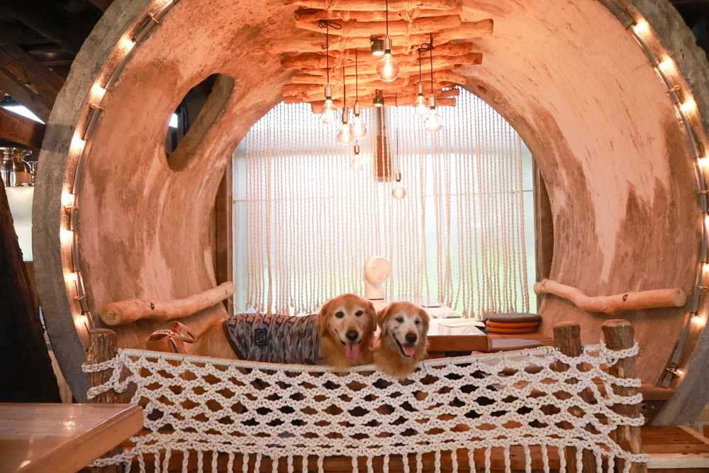 苗栗卓蘭美食|橘舍三食山里廚房。寵物友善景觀餐廳、義式料理午餐推薦、沒有住宿也能享用Josper柴燒料理 - 第12張圖 苗栗卓蘭美食|橘舍三食山里廚房。寵物友善景觀餐廳、義式料理午餐推薦、沒有住宿也能享用Josper柴燒料理