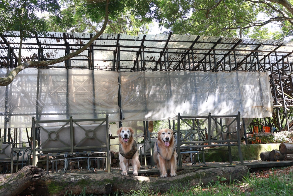苗栗卓蘭最頂級豪華露營|橘舍三食奢華Glamping。一泊三食 × 寵物友善 × 波西米亞風神殿帳 × 手作果醬× 柴燒無菜單晚餐 - 第9張圖 苗栗卓蘭最頂級豪華露營|橘舍三食奢華Glamping。一泊三食 × 寵物友善 × 波西米亞風神殿帳 × 手作果醬× 柴燒無菜單晚餐