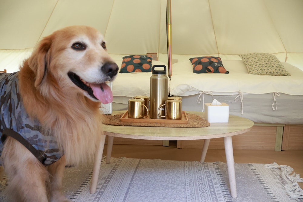 苗栗卓蘭最頂級豪華露營|橘舍三食奢華Glamping。一泊三食 × 寵物友善 × 波西米亞風神殿帳 × 手作果醬× 柴燒無菜單晚餐 - 第22張圖 苗栗卓蘭最頂級豪華露營|橘舍三食奢華Glamping。一泊三食 × 寵物友善 × 波西米亞風神殿帳 × 手作果醬× 柴燒無菜單晚餐