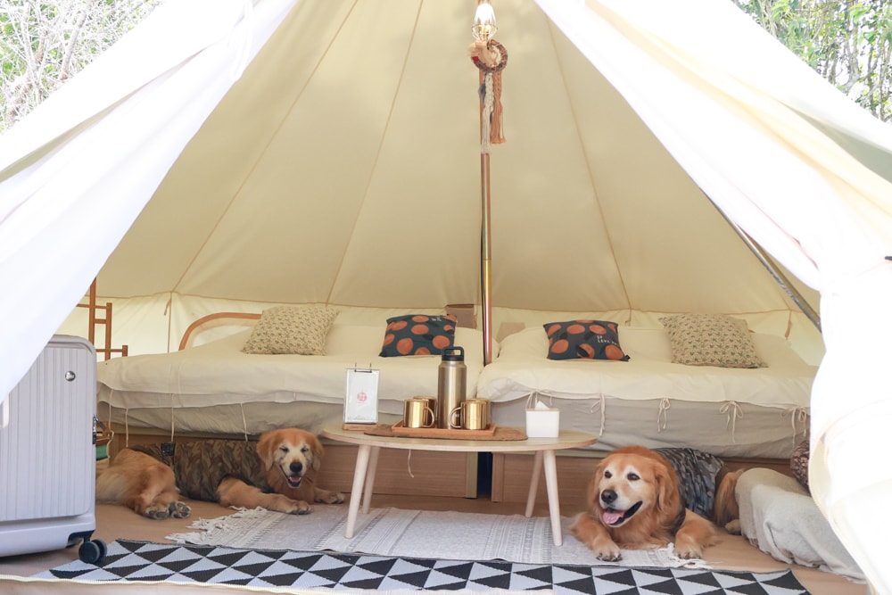 苗栗卓蘭最頂級豪華露營|橘舍三食奢華Glamping。一泊三食 × 寵物友善 × 波西米亞風神殿帳 × 手作果醬× 柴燒無菜單晚餐 - 第23張圖 苗栗卓蘭最頂級豪華露營|橘舍三食奢華Glamping。一泊三食 × 寵物友善 × 波西米亞風神殿帳 × 手作果醬× 柴燒無菜單晚餐