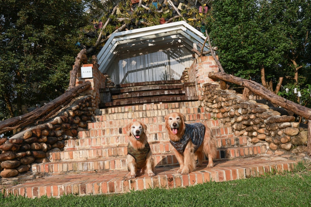 苗栗卓蘭最頂級豪華露營|橘舍三食奢華Glamping。一泊三食 × 寵物友善 × 波西米亞風神殿帳 × 手作果醬× 柴燒無菜單晚餐 - 第31張圖 苗栗卓蘭最頂級豪華露營|橘舍三食奢華Glamping。一泊三食 × 寵物友善 × 波西米亞風神殿帳 × 手作果醬× 柴燒無菜單晚餐