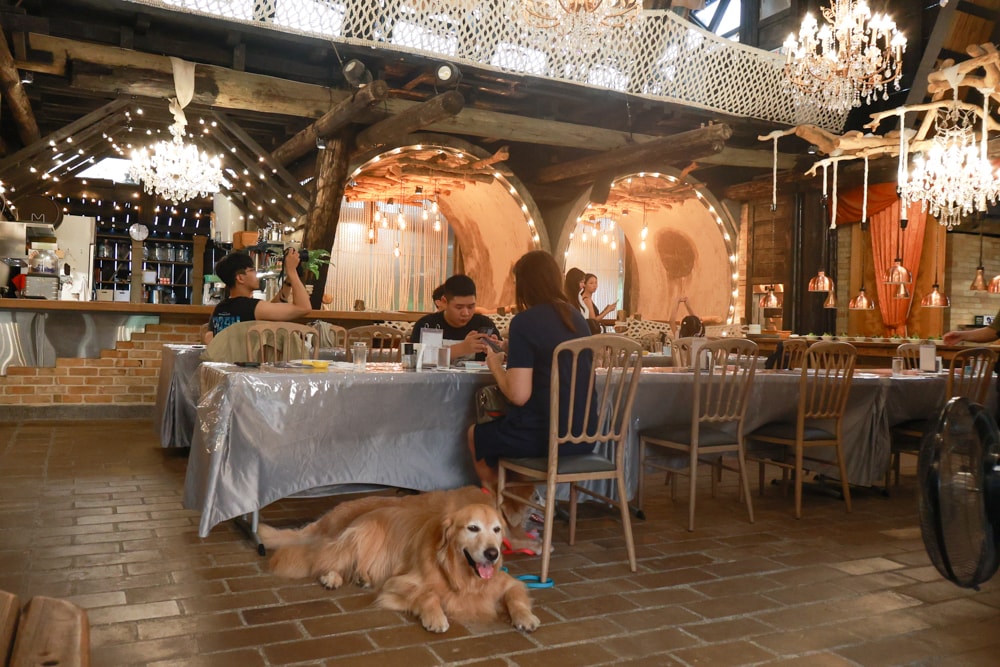 苗栗卓蘭最頂級豪華露營|橘舍三食奢華Glamping。一泊三食 × 寵物友善 × 波西米亞風神殿帳 × 手作果醬× 柴燒無菜單晚餐 - 第37張圖 苗栗卓蘭最頂級豪華露營|橘舍三食奢華Glamping。一泊三食 × 寵物友善 × 波西米亞風神殿帳 × 手作果醬× 柴燒無菜單晚餐