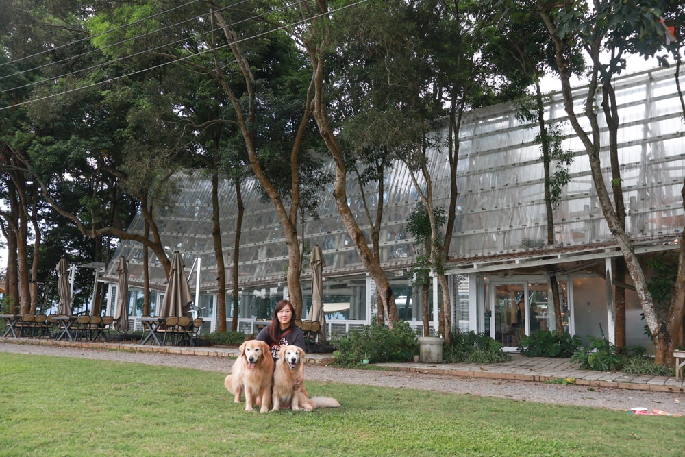 苗栗卓蘭住宿｜小巷清風 Le.Alley Autocamp Resort。苗栗 GlampingAirstream豪華露營車、一泊二食、寵物友善、鯉魚潭湖畔旁