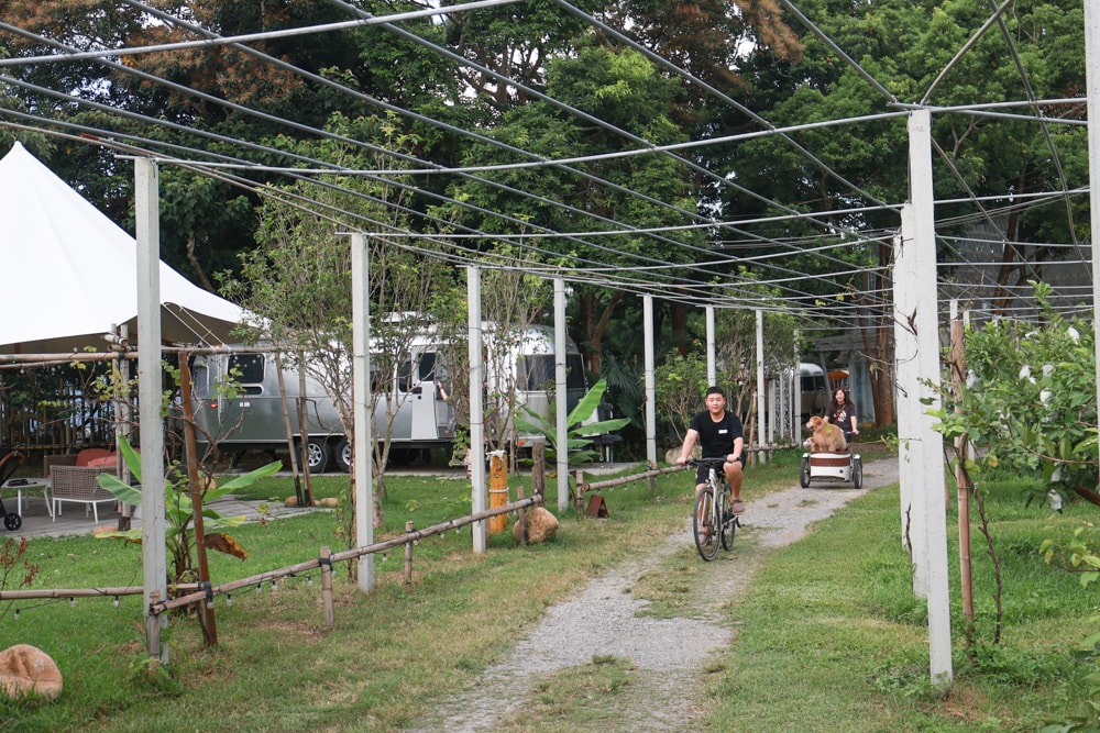 苗栗卓蘭住宿｜小巷清風 Le.Alley Autocamp Resort。苗栗 GlampingAirstream豪華露營車、一泊二食、寵物友善、鯉魚潭湖畔旁