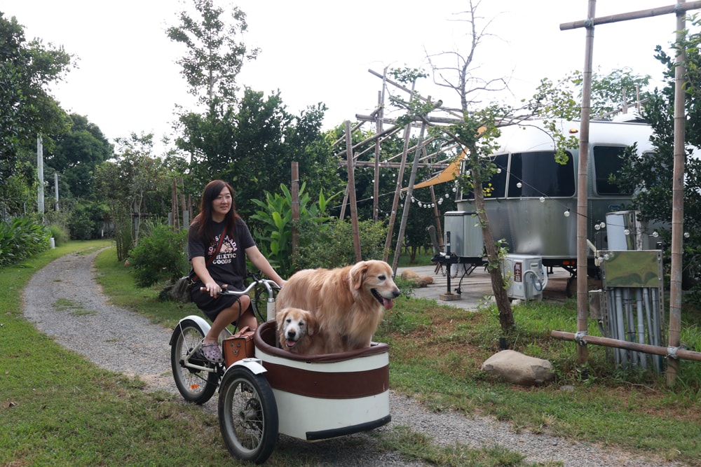 苗栗卓蘭住宿｜小巷清風 Le.Alley Autocamp Resort。苗栗 GlampingAirstream豪華露營車、一泊二食、寵物友善、鯉魚潭湖畔旁