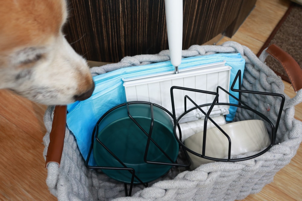 苗栗卓蘭住宿｜小巷清風 Le.Alley Autocamp Resort。苗栗 GlampingAirstream豪華露營車、一泊二食、寵物友善、鯉魚潭湖畔旁