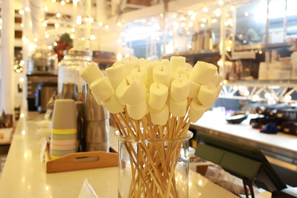 苗栗卓蘭住宿｜小巷清風 Le.Alley Autocamp Resort。苗栗 GlampingAirstream豪華露營車、一泊二食、寵物友善、鯉魚潭湖畔旁