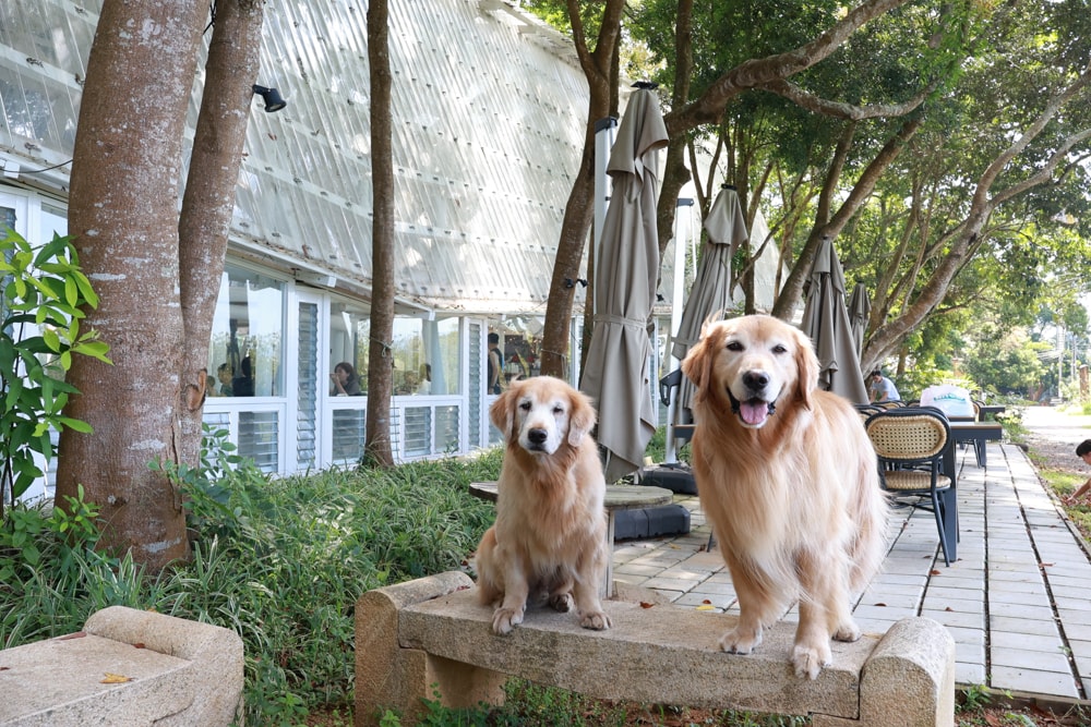 苗栗卓蘭住宿｜小巷清風 Le.Alley Autocamp Resort。苗栗 GlampingAirstream豪華露營車、一泊二食、寵物友善、鯉魚潭湖畔旁