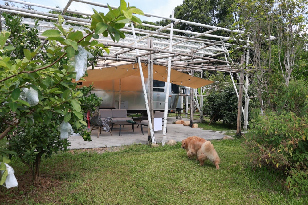 苗栗卓蘭住宿｜小巷清風 Le.Alley Autocamp Resort。苗栗 GlampingAirstream豪華露營車、一泊二食、寵物友善、鯉魚潭湖畔旁
