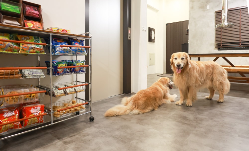 宜蘭礁溪|那裡 bed and breakfast 2館 那裡對面。獨棟日式輕工業風電梯民宿、寵物友善、可包棟、燒肉+卡拉OK、電動麻將桌&兒童遊戲室一次擁有 - 第14張圖 宜蘭礁溪|那裡 bed and breakfast 2館 那裡對面。獨棟日式輕工業風電梯民宿、寵物友善、可包棟、燒肉+卡拉OK、電動麻將桌&兒童遊戲室一次擁有