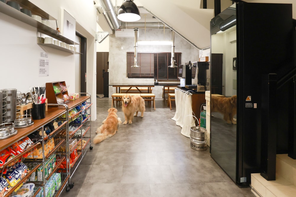 宜蘭礁溪|那裡 bed and breakfast 2館 那裡對面。獨棟日式輕工業風電梯民宿、寵物友善、可包棟、燒肉+卡拉OK、電動麻將桌&兒童遊戲室一次擁有 - 第12張圖 宜蘭礁溪|那裡 bed and breakfast 2館 那裡對面。獨棟日式輕工業風電梯民宿、寵物友善、可包棟、燒肉+卡拉OK、電動麻將桌&兒童遊戲室一次擁有