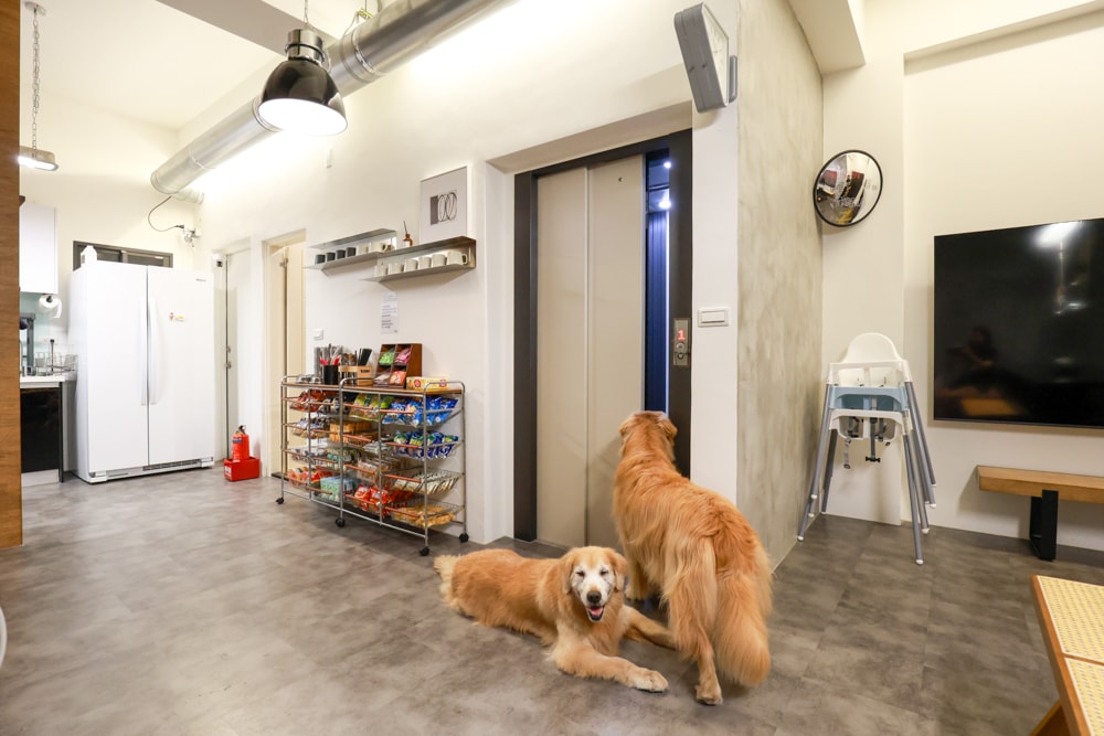 宜蘭礁溪|那裡 bed and breakfast 2館 那裡對面。獨棟日式輕工業風電梯民宿、寵物友善、可包棟、燒肉+卡拉OK、電動麻將桌&兒童遊戲室一次擁有 - 第10張圖 宜蘭礁溪|那裡 bed and breakfast 2館 那裡對面。獨棟日式輕工業風電梯民宿、寵物友善、可包棟、燒肉+卡拉OK、電動麻將桌&兒童遊戲室一次擁有