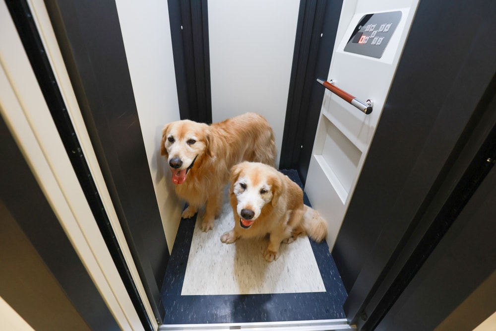 宜蘭礁溪|那裡 bed and breakfast 2館 那裡對面。獨棟日式輕工業風電梯民宿、寵物友善、可包棟、燒肉+卡拉OK、電動麻將桌&兒童遊戲室一次擁有 - 第15張圖 宜蘭礁溪|那裡 bed and breakfast 2館 那裡對面。獨棟日式輕工業風電梯民宿、寵物友善、可包棟、燒肉+卡拉OK、電動麻將桌&兒童遊戲室一次擁有