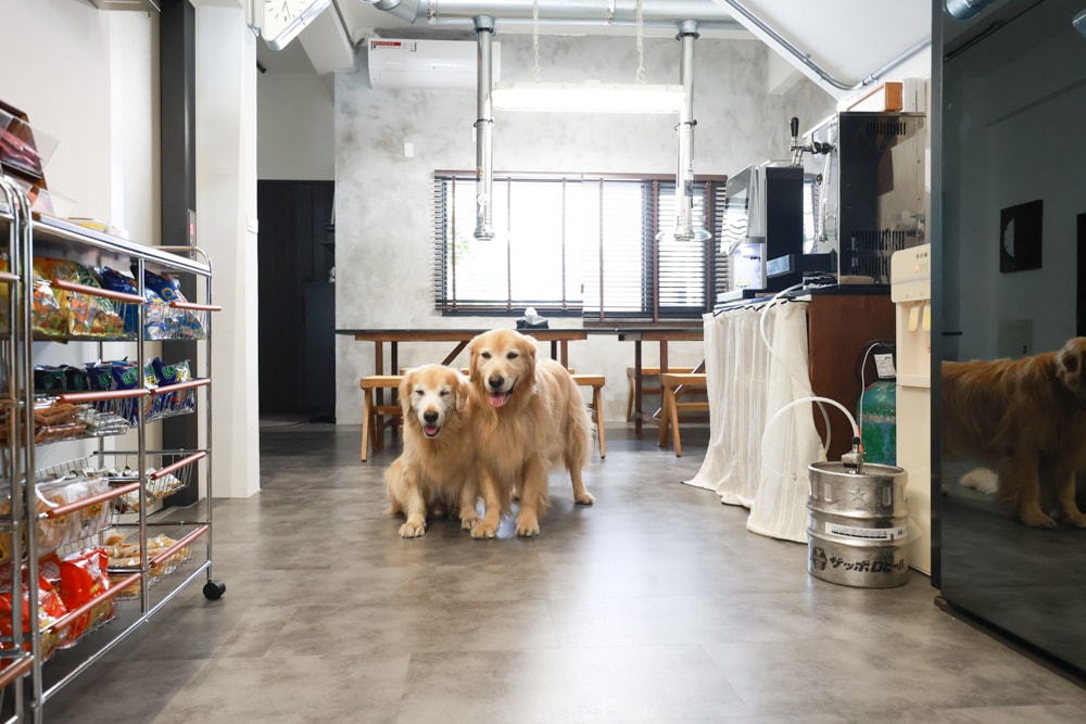 宜蘭礁溪|那裡 bed and breakfast 2館 那裡對面。獨棟日式輕工業風電梯民宿、寵物友善、可包棟、燒肉+卡拉OK、電動麻將桌&兒童遊戲室一次擁有 - 第13張圖 宜蘭礁溪|那裡 bed and breakfast 2館 那裡對面。獨棟日式輕工業風電梯民宿、寵物友善、可包棟、燒肉+卡拉OK、電動麻將桌&兒童遊戲室一次擁有
