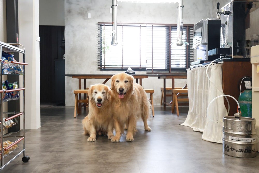 宜蘭礁溪|那裡 bed and breakfast 2館 那裡對面。獨棟日式輕工業風電梯民宿、寵物友善、可包棟、燒肉+卡拉OK、電動麻將桌&兒童遊戲室一次擁有 - 第1張圖 宜蘭礁溪|那裡 bed and breakfast 2館 那裡對面。獨棟日式輕工業風電梯民宿、寵物友善、可包棟、燒肉+卡拉OK、電動麻將桌&兒童遊戲室一次擁有
