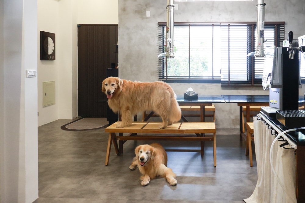 宜蘭礁溪|那裡 bed and breakfast 2館 那裡對面。獨棟日式輕工業風電梯民宿、寵物友善、可包棟、燒肉+卡拉OK、電動麻將桌&兒童遊戲室一次擁有 - 第19張圖 宜蘭礁溪|那裡 bed and breakfast 2館 那裡對面。獨棟日式輕工業風電梯民宿、寵物友善、可包棟、燒肉+卡拉OK、電動麻將桌&兒童遊戲室一次擁有