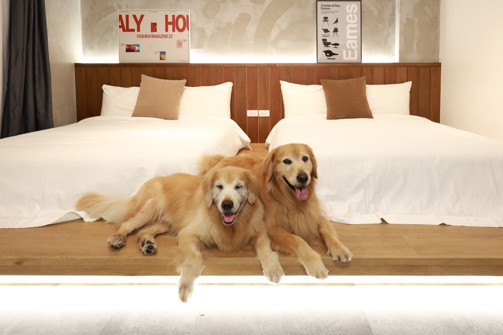 宜蘭礁溪|那裡 bed and breakfast 2館 那裡對面。獨棟日式輕工業風電梯民宿、寵物友善、可包棟、燒肉+卡拉OK、電動麻將桌&兒童遊戲室一次擁有 - 第34張圖 宜蘭礁溪|那裡 bed and breakfast 2館 那裡對面。獨棟日式輕工業風電梯民宿、寵物友善、可包棟、燒肉+卡拉OK、電動麻將桌&兒童遊戲室一次擁有
