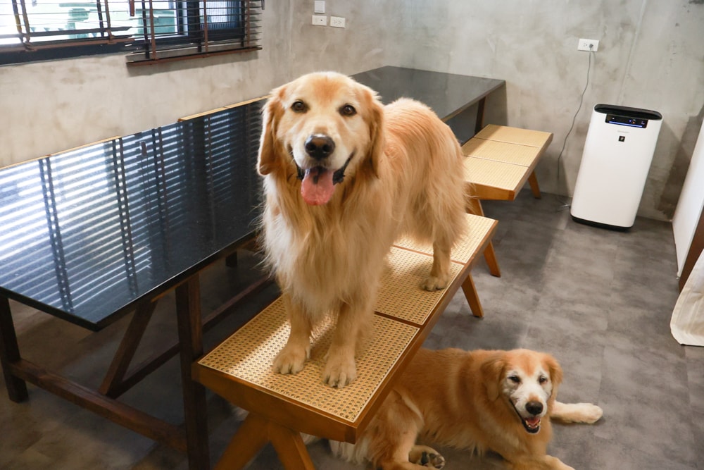 宜蘭礁溪|那裡 bed and breakfast 2館 那裡對面。獨棟日式輕工業風電梯民宿、寵物友善、可包棟、燒肉+卡拉OK、電動麻將桌&兒童遊戲室一次擁有 - 第6張圖 宜蘭礁溪|那裡 bed and breakfast 2館 那裡對面。獨棟日式輕工業風電梯民宿、寵物友善、可包棟、燒肉+卡拉OK、電動麻將桌&兒童遊戲室一次擁有