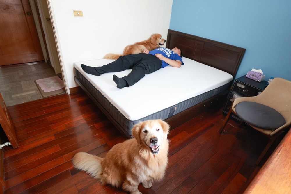 德國Emma石墨烯黑鑽床墊德國Emma床墊＋Diamond 黑鑽石記憶枕｜抗干擾＋透氣涼感＋冬暖夏涼的五層獨立筒記憶棉獨立筒，打造五星級好眠