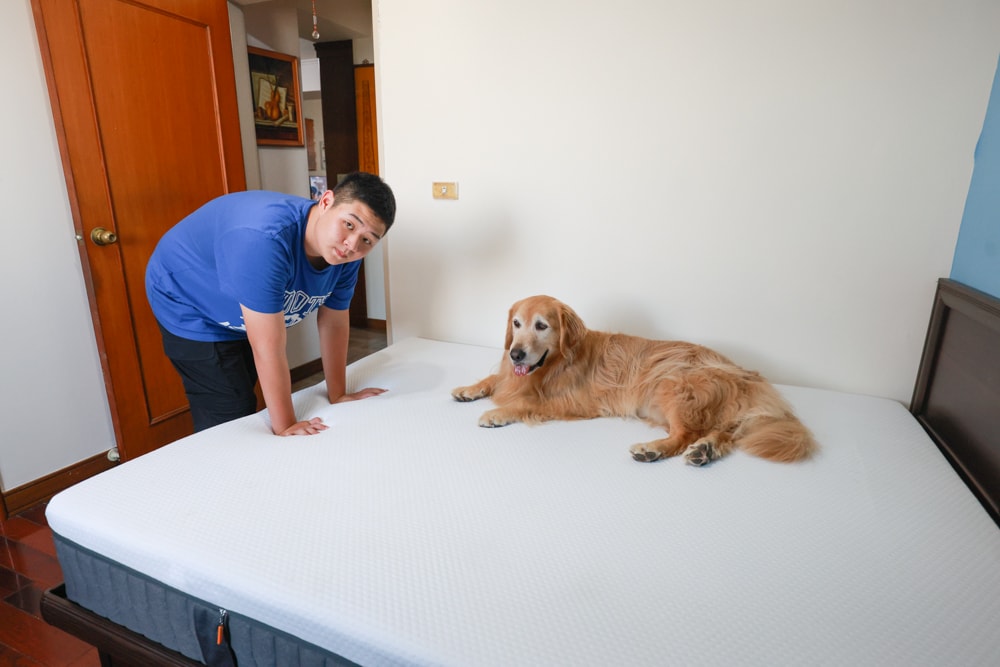 德國Emma石墨烯黑鑽床墊德國Emma床墊＋Diamond 黑鑽石記憶枕｜抗干擾＋透氣涼感＋冬暖夏涼的五層獨立筒記憶棉獨立筒，打造五星級好眠