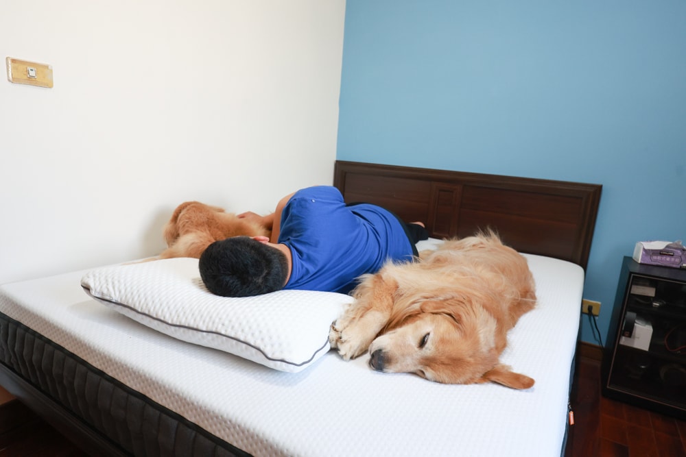 德國Emma石墨烯黑鑽床墊德國Emma床墊＋Diamond 黑鑽石記憶枕｜抗干擾＋透氣涼感＋冬暖夏涼的五層獨立筒記憶棉獨立筒，打造五星級好眠