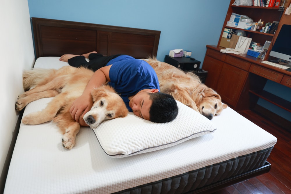 德國Emma石墨烯黑鑽床墊德國Emma床墊＋Diamond 黑鑽石記憶枕｜抗干擾＋透氣涼感＋冬暖夏涼的五層獨立筒記憶棉獨立筒，打造五星級好眠