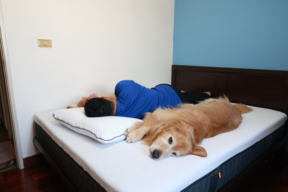 德國Emma石墨烯黑鑽床墊德國Emma床墊＋Diamond 黑鑽石記憶枕｜抗干擾＋透氣涼感＋冬暖夏涼的五層獨立筒記憶棉獨立筒，打造五星級好眠