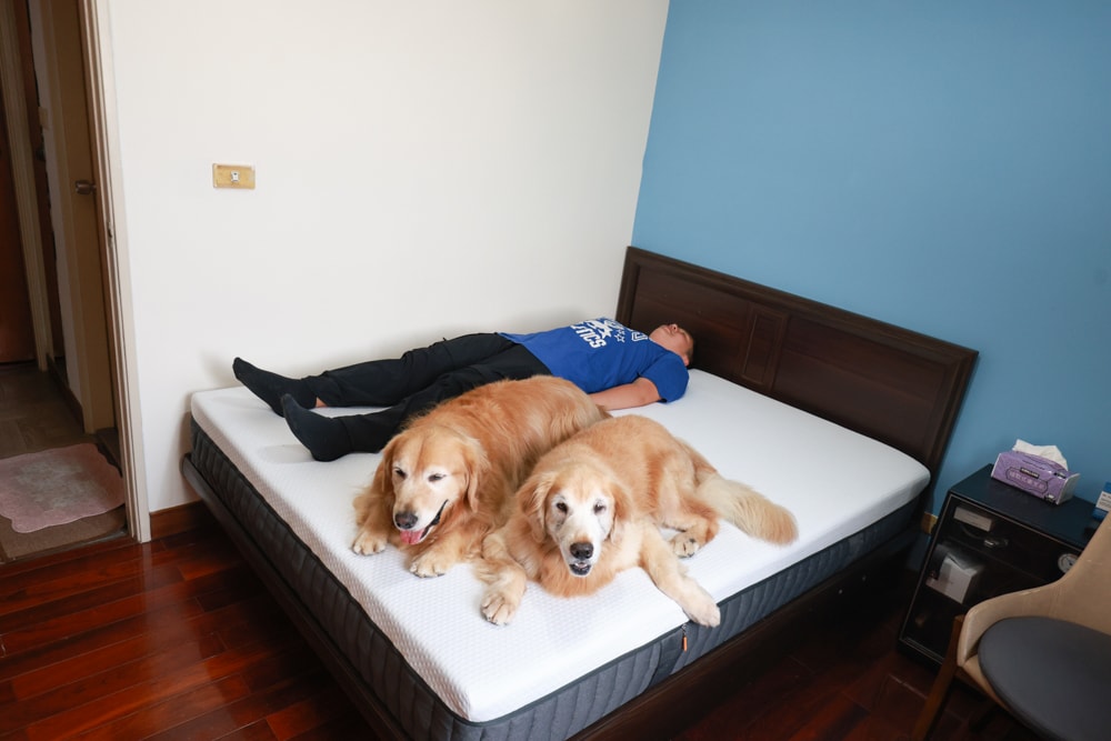 德國Emma石墨烯黑鑽床墊德國Emma床墊＋Diamond 黑鑽石記憶枕｜抗干擾＋透氣涼感＋冬暖夏涼的五層獨立筒記憶棉獨立筒，打造五星級好眠