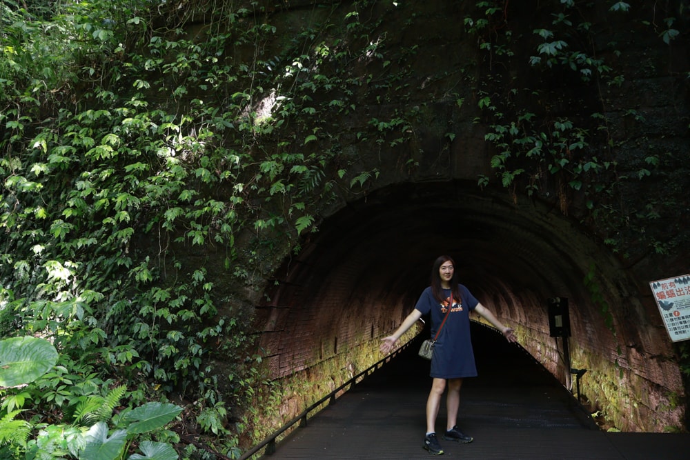 🐾瑞芳兩天一夜旅遊｜猴硐貓村 × 三貂嶺友善隧道 × 寬哥那裡秘境餐廳 × 瑞芳動物之家。友善動物生態旅遊