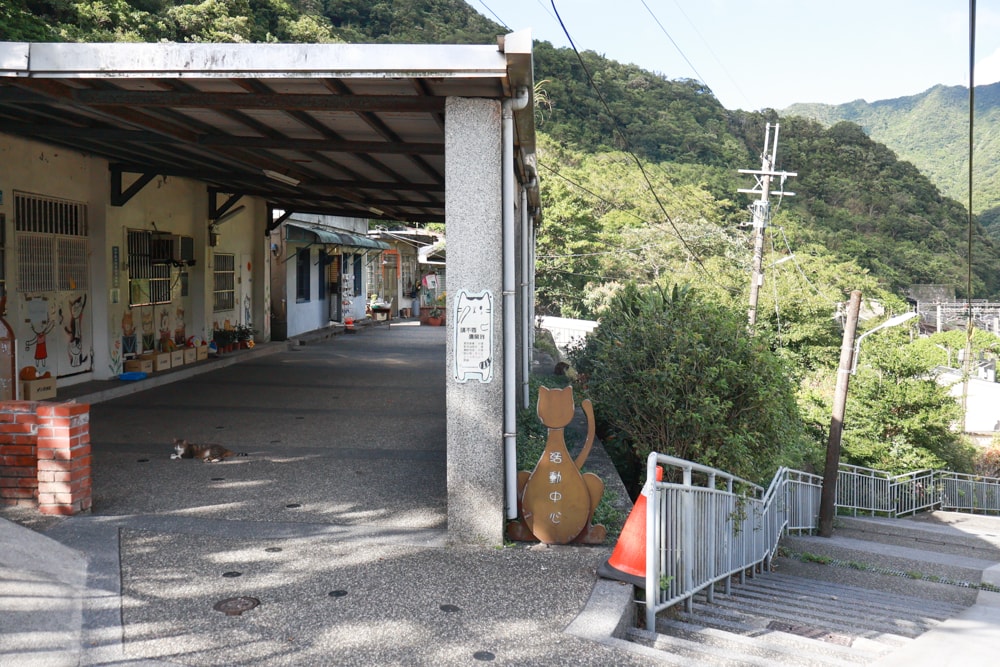 🐾瑞芳兩天一夜旅遊｜猴硐貓村 × 三貂嶺友善隧道 × 寬哥那裡秘境餐廳 × 瑞芳動物之家。友善動物生態旅遊