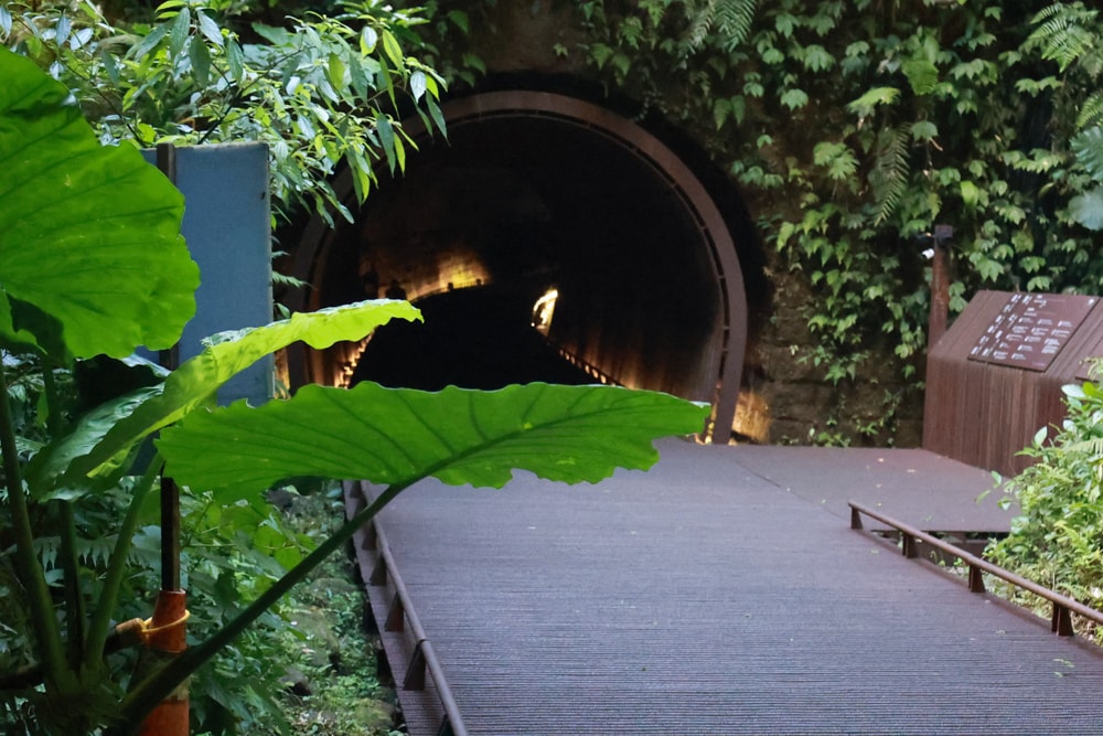 新北雙溪景點｜三貂嶺生態友善隧道。免費預約、交通方式全攻略，隧道探險＋秘境小旅行