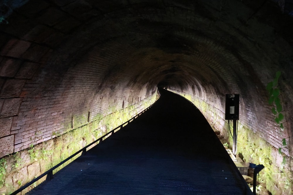🐾瑞芳兩天一夜旅遊|猴硐貓村 × 三貂嶺友善隧道 × 寬哥那裡秘境餐廳 × 瑞芳動物之家。友善動物生態旅遊 - 第16張圖 🐾瑞芳兩天一夜旅遊|猴硐貓村 × 三貂嶺友善隧道 × 寬哥那裡秘境餐廳 × 瑞芳動物之家。友善動物生態旅遊
