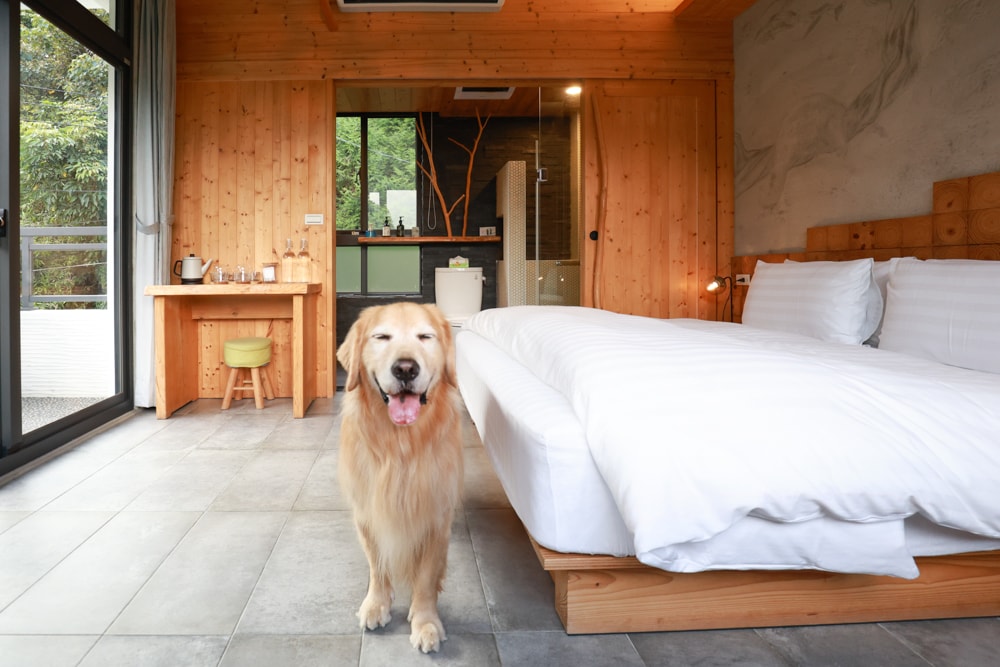 南投日月潭秘境住宿|八番私人住宅。隱身在日月潭森林系設計民宿、寵物友善民宿、感受最純粹最靜謐的日月潭住宿 - 第40張圖 南投日月潭秘境住宿|八番私人住宅。隱身在日月潭森林系設計民宿、寵物友善民宿、感受最純粹最靜謐的日月潭住宿