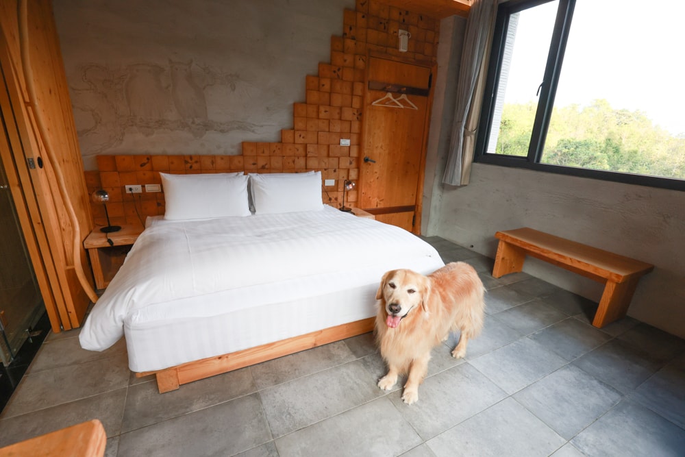 南投日月潭秘境住宿|八番私人住宅。隱身在日月潭森林系設計民宿、寵物友善民宿、感受最純粹最靜謐的日月潭住宿 - 第44張圖 南投日月潭秘境住宿|八番私人住宅。隱身在日月潭森林系設計民宿、寵物友善民宿、感受最純粹最靜謐的日月潭住宿