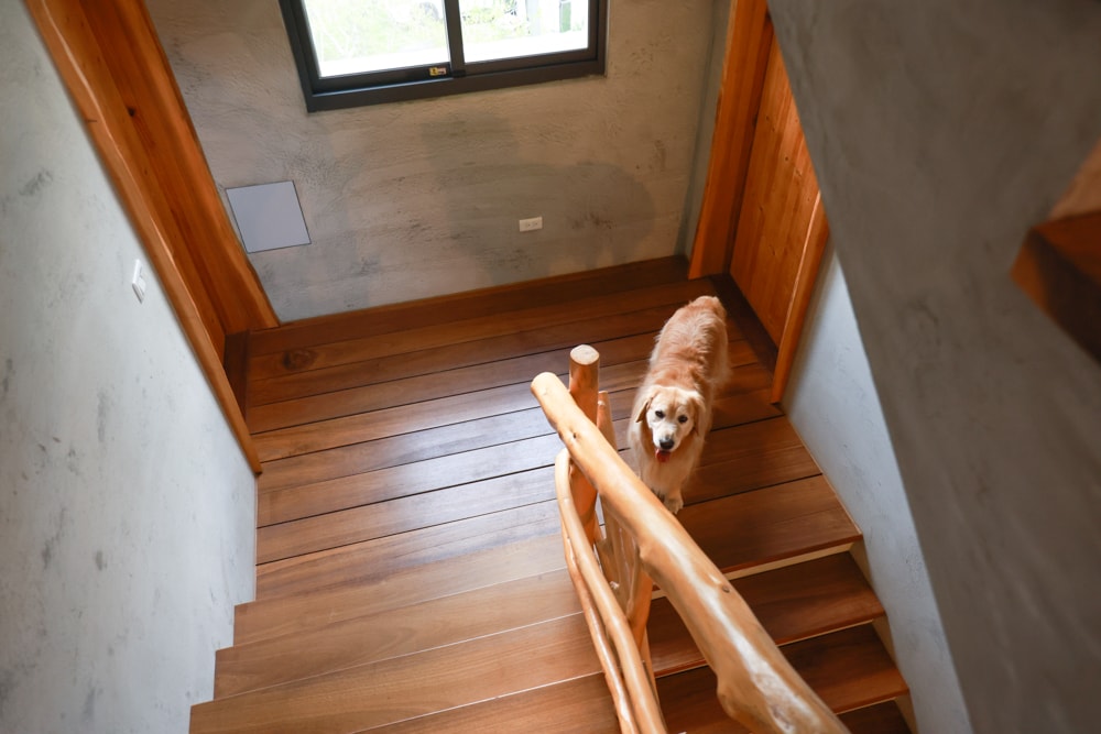 南投日月潭秘境住宿|八番私人住宅。隱身在日月潭森林系設計民宿、寵物友善民宿、感受最純粹最靜謐的日月潭住宿 - 第21張圖 南投日月潭秘境住宿|八番私人住宅。隱身在日月潭森林系設計民宿、寵物友善民宿、感受最純粹最靜謐的日月潭住宿