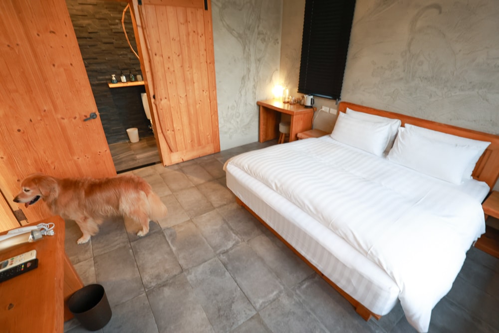 南投日月潭秘境住宿|八番私人住宅。隱身在日月潭森林系設計民宿、寵物友善民宿、感受最純粹最靜謐的日月潭住宿 - 第19張圖 南投日月潭秘境住宿|八番私人住宅。隱身在日月潭森林系設計民宿、寵物友善民宿、感受最純粹最靜謐的日月潭住宿