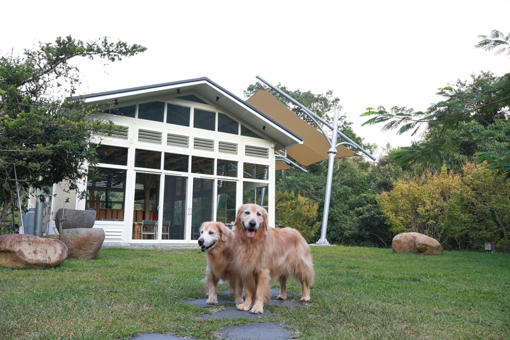 南投日月潭秘境住宿|八番私人住宅。隱身在日月潭森林系設計民宿、寵物友善民宿、感受最純粹最靜謐的日月潭住宿 - 第46張圖 南投日月潭秘境住宿|八番私人住宅。隱身在日月潭森林系設計民宿、寵物友善民宿、感受最純粹最靜謐的日月潭住宿