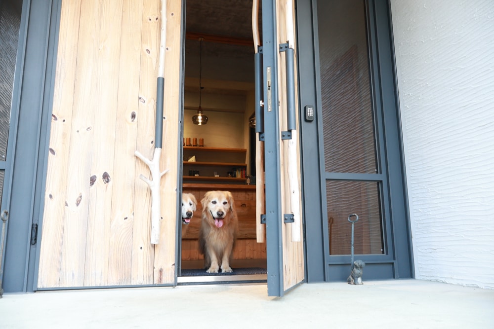 南投日月潭秘境住宿|八番私人住宅。隱身在日月潭森林系設計民宿、寵物友善民宿、感受最純粹最靜謐的日月潭住宿 - 第6張圖 南投日月潭秘境住宿|八番私人住宅。隱身在日月潭森林系設計民宿、寵物友善民宿、感受最純粹最靜謐的日月潭住宿