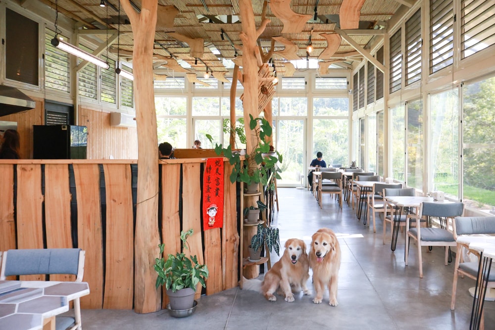 南投日月潭秘境住宿｜八番私人住宅。隱身在日月潭森林系設計民宿、寵物友善民宿、感受最純粹最靜謐的日月潭住宿