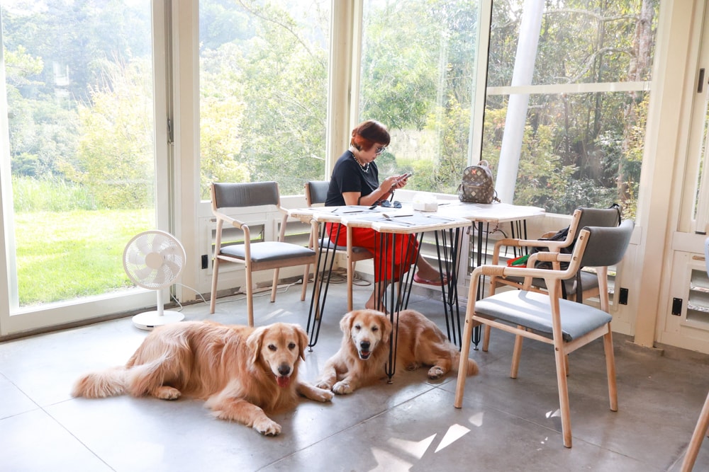 南投日月潭秘境住宿|八番私人住宅。隱身在日月潭森林系設計民宿、寵物友善民宿、感受最純粹最靜謐的日月潭住宿 - 第50張圖 南投日月潭秘境住宿|八番私人住宅。隱身在日月潭森林系設計民宿、寵物友善民宿、感受最純粹最靜謐的日月潭住宿