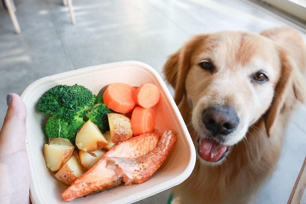 南投日月潭秘境住宿|八番私人住宅。隱身在日月潭森林系設計民宿、寵物友善民宿、感受最純粹最靜謐的日月潭住宿 - 第55張圖 南投日月潭秘境住宿|八番私人住宅。隱身在日月潭森林系設計民宿、寵物友善民宿、感受最純粹最靜謐的日月潭住宿