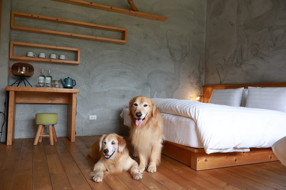 南投日月潭秘境住宿|八番私人住宅。隱身在日月潭森林系設計民宿、寵物友善民宿、感受最純粹最靜謐的日月潭住宿 - 第33張圖 南投日月潭秘境住宿|八番私人住宅。隱身在日月潭森林系設計民宿、寵物友善民宿、感受最純粹最靜謐的日月潭住宿