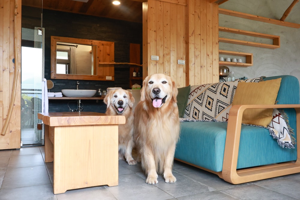 南投日月潭秘境住宿|八番私人住宅。隱身在日月潭森林系設計民宿、寵物友善民宿、感受最純粹最靜謐的日月潭住宿 - 第34張圖 南投日月潭秘境住宿|八番私人住宅。隱身在日月潭森林系設計民宿、寵物友善民宿、感受最純粹最靜謐的日月潭住宿